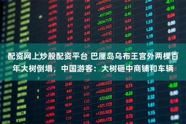 配资网上炒股配资平台 巴厘岛乌布王宫外两棵百年大树倒塌，中国游客：大树砸中商铺和车辆