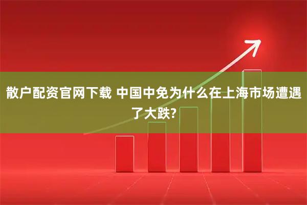 散户配资官网下载 中国中免为什么在上海市场遭遇了大跌?